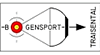 Logo des Bogensportverein Traisental